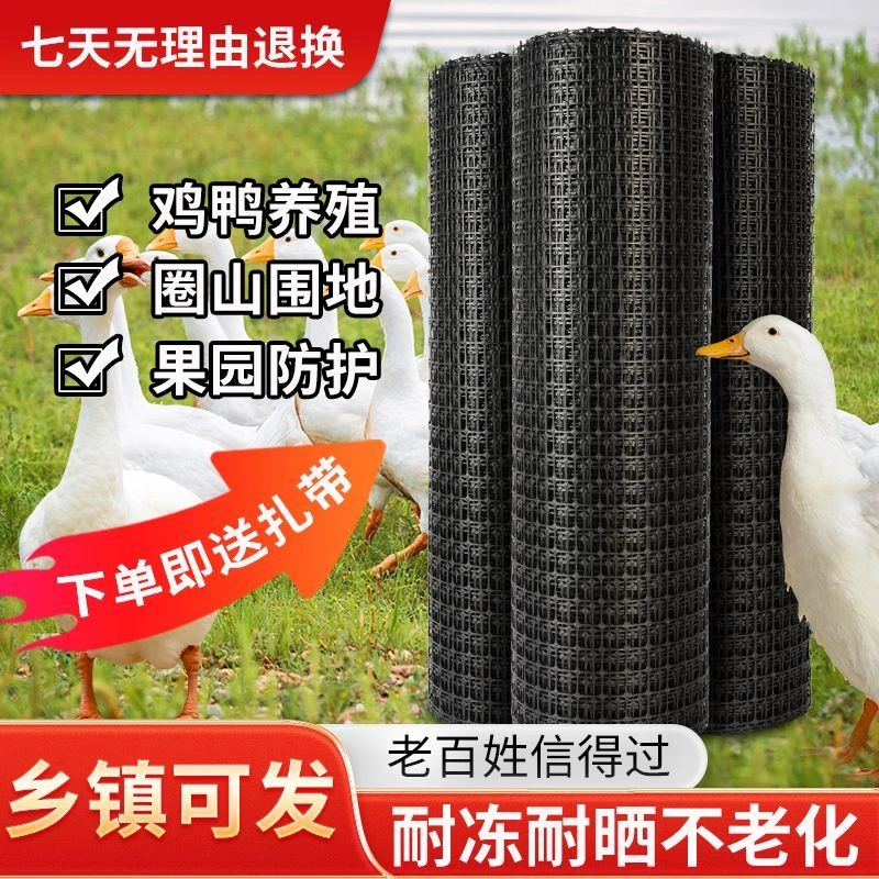 鸡果园批发鸭鹅养鸡养殖玉米养鸡玉米养鸡围栏防护养鸡养殖围栏网