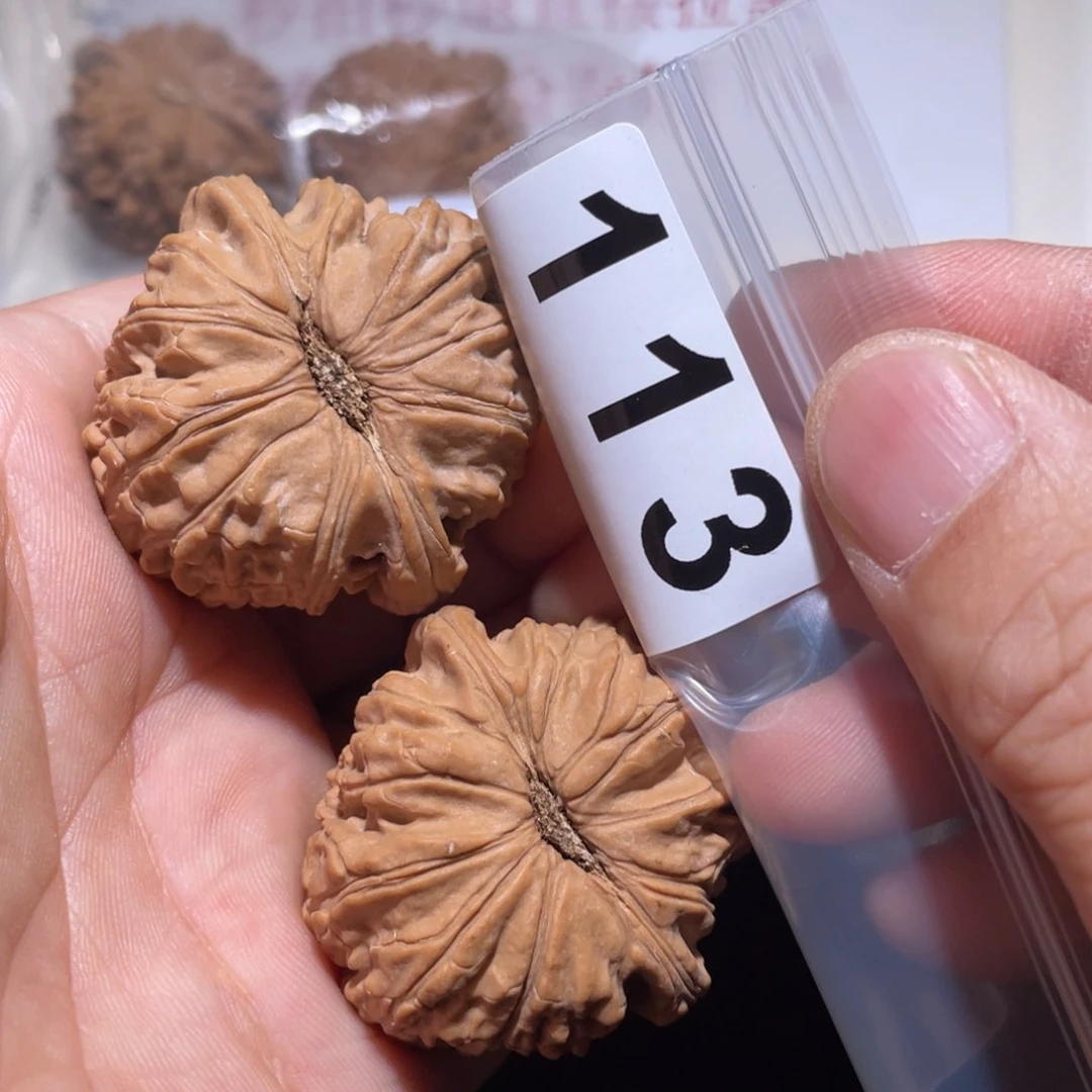 文玩核桃把件C*3白狮子42