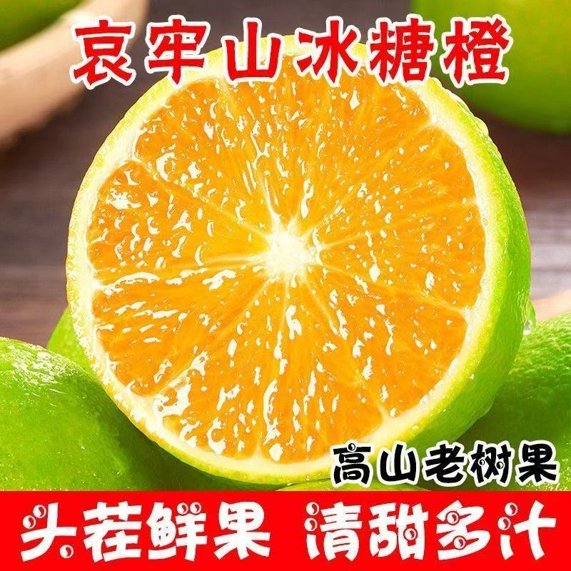 A云南哀牢山青皮冰糖橙应季新鲜水果现摘清甜多汁薄皮