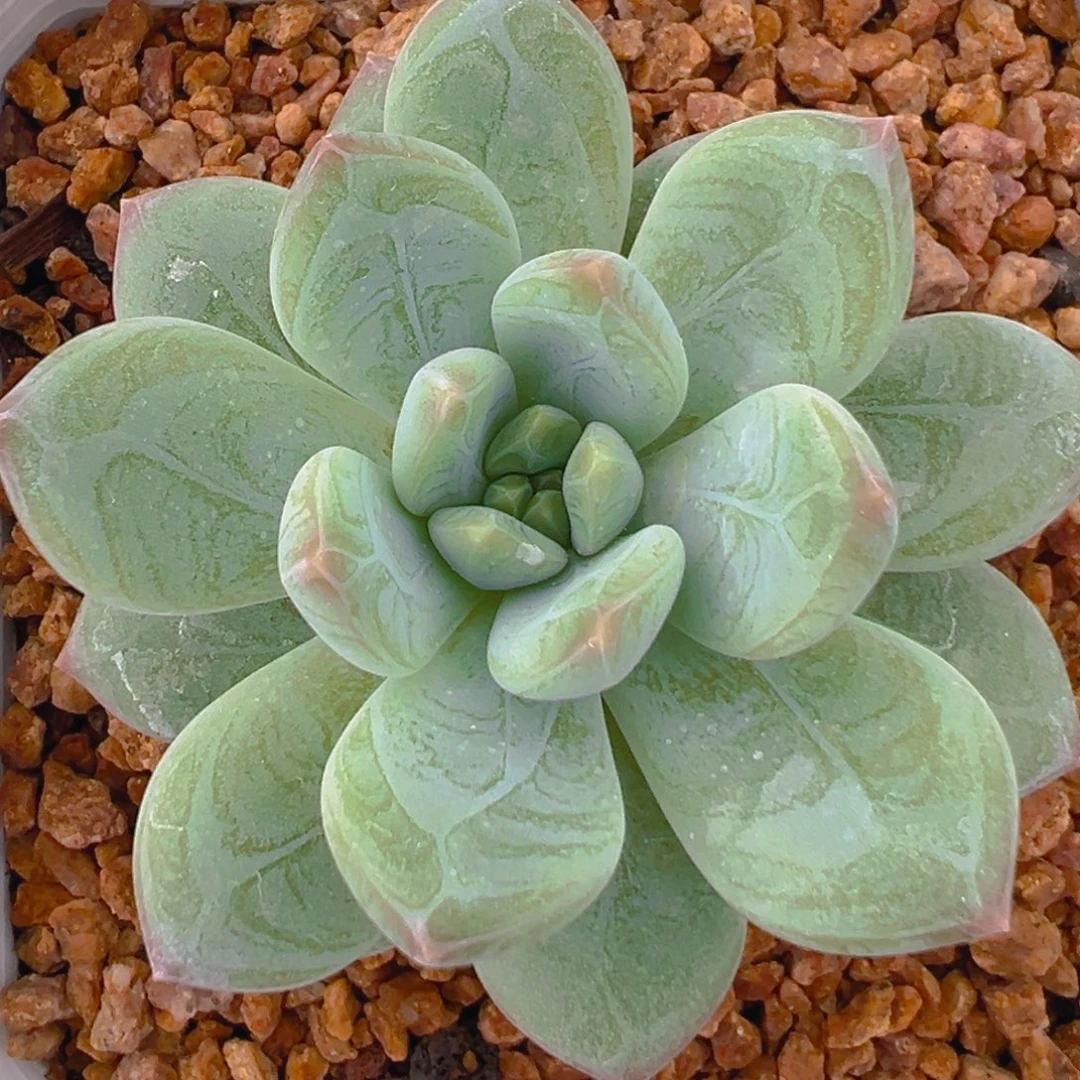 贝***多11111111111111111111