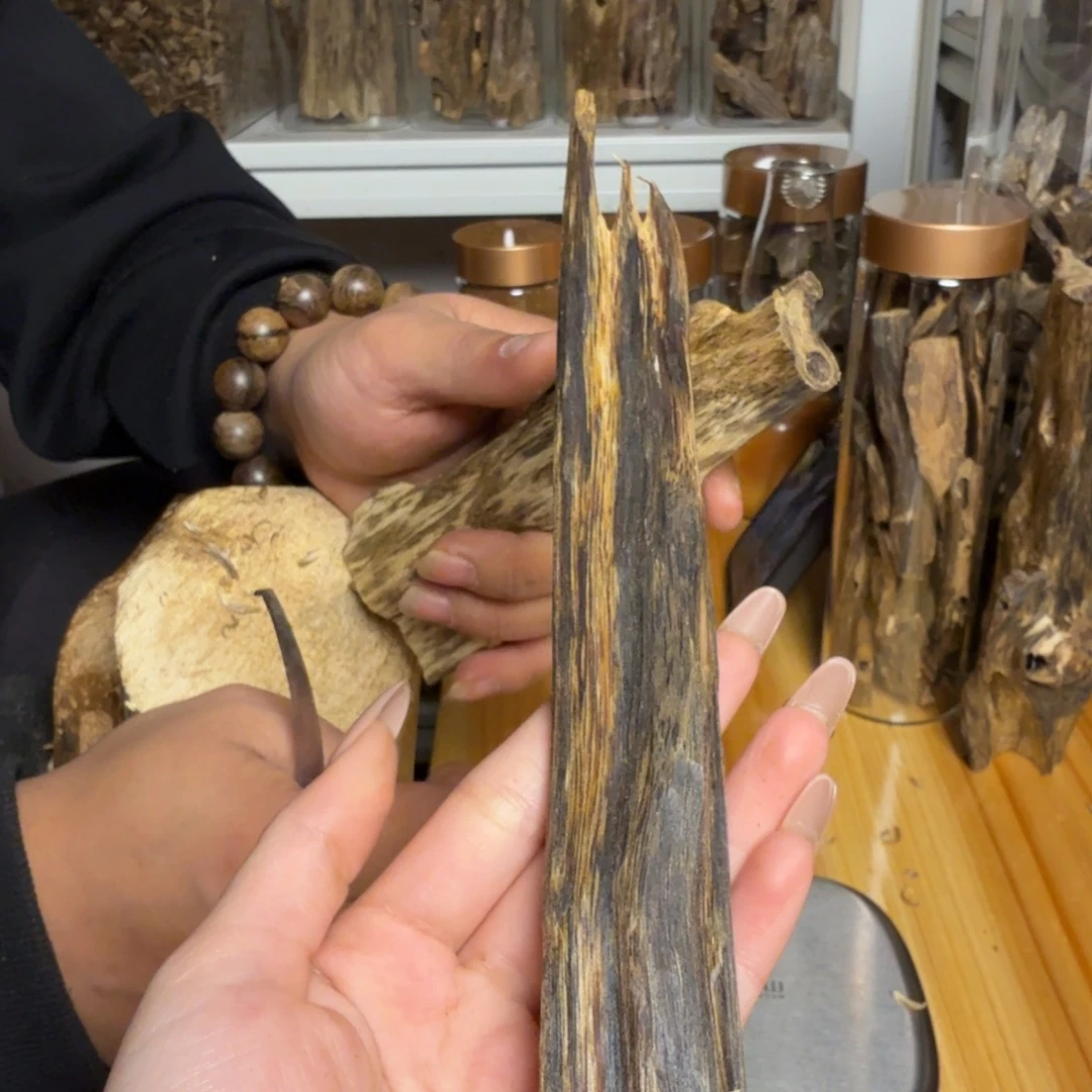 沉香张勺子树心油23克