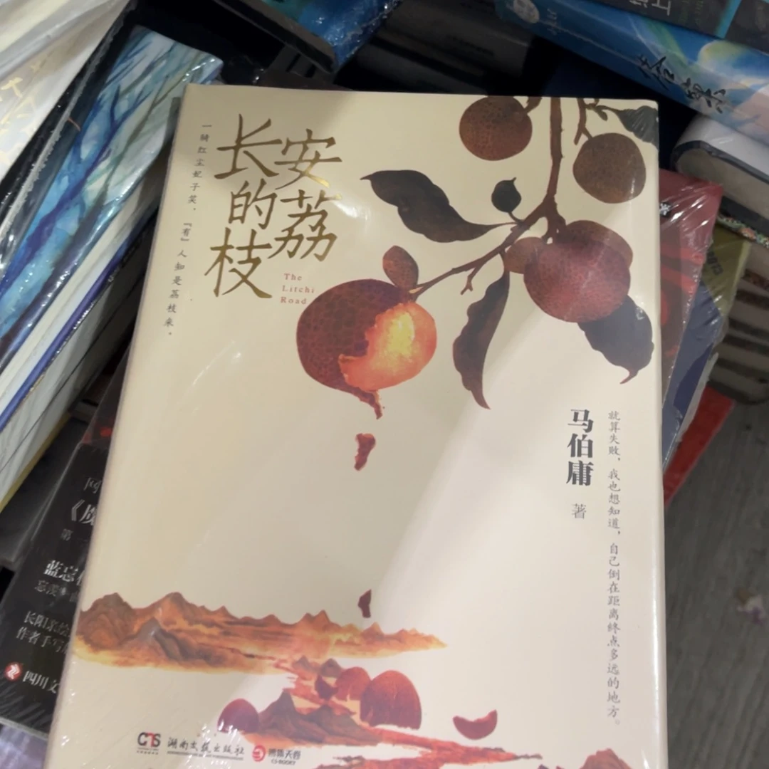 长安的荔枝精装一个