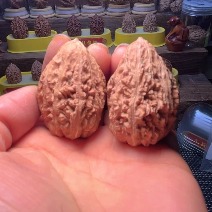 核桃28号车放漏漏漏漏