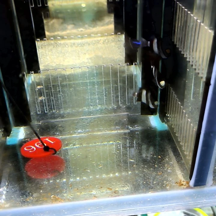 三间雀3条7-79-169