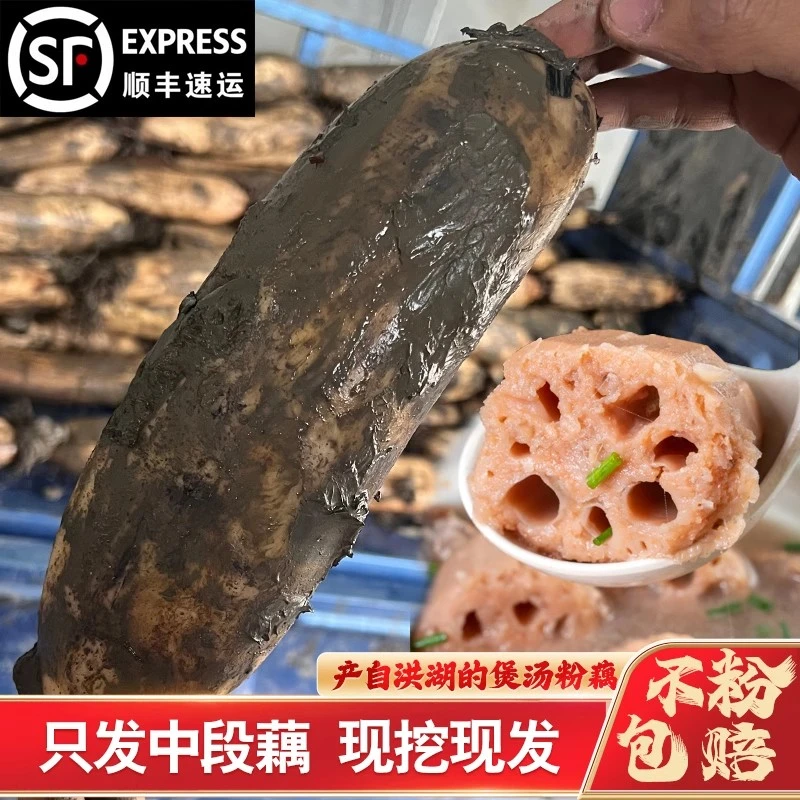 正宗洪湖莲藕新鲜现挖煲汤粉藕糯米藕九孔莲藕精选中段藕顺丰包邮