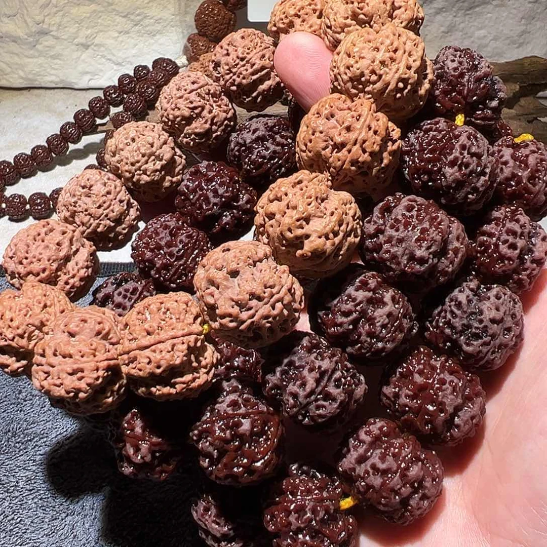 金刚菩提手串22尺寸左右古龙梅花福利
