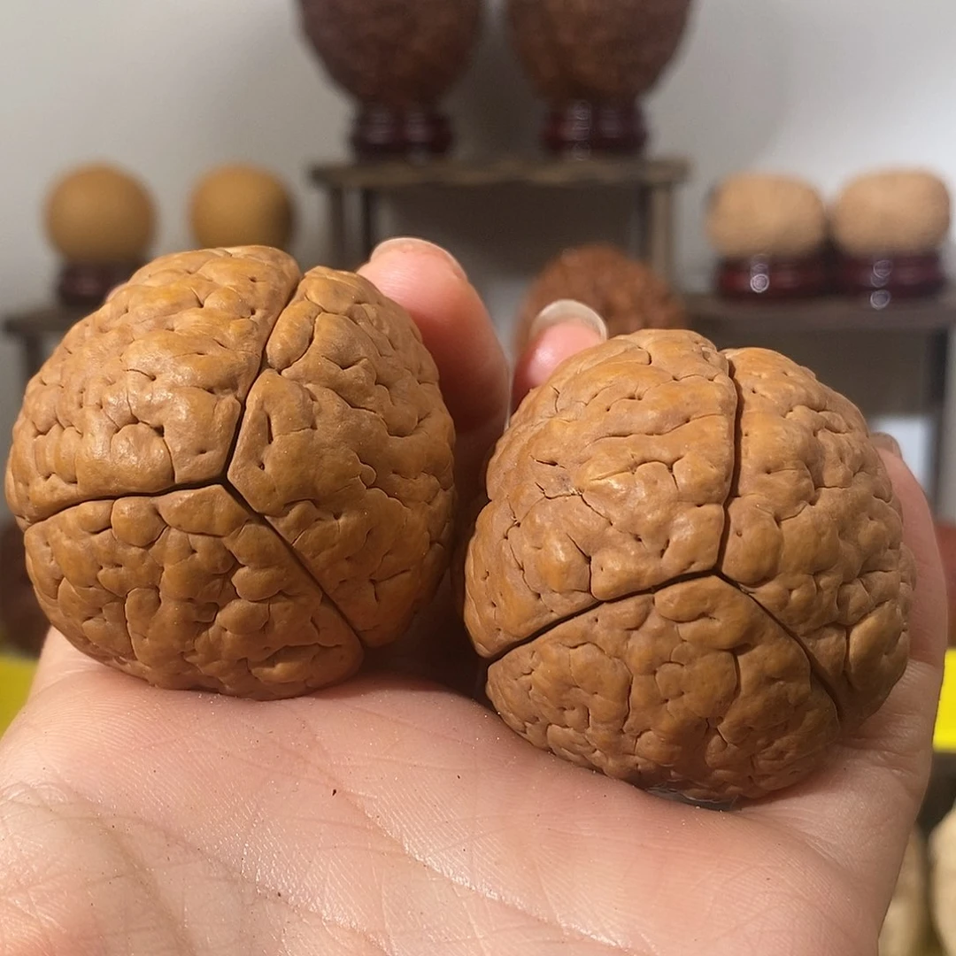 文玩核桃把件三瓣脑纹金刚虫眼45