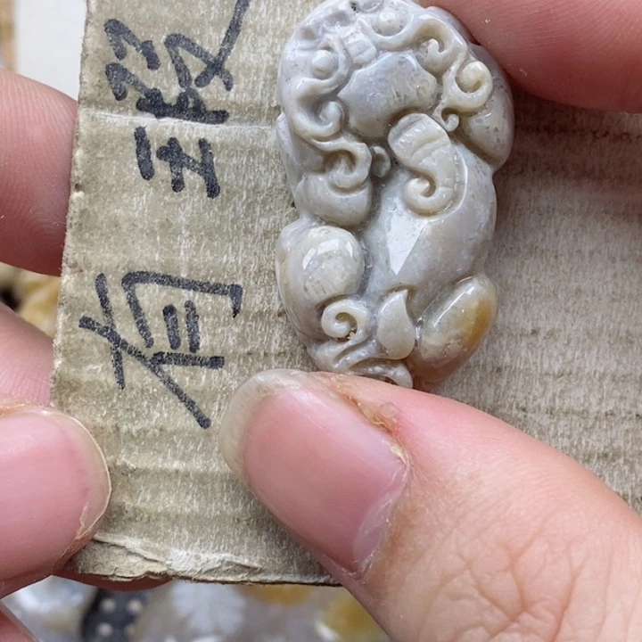 颈饰未镶嵌硅化珊瑚（珊瑚玉）?****⭐