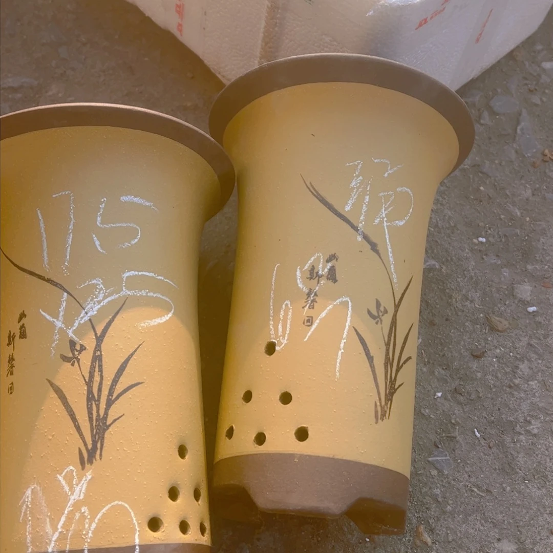 紫砂2号………………………………