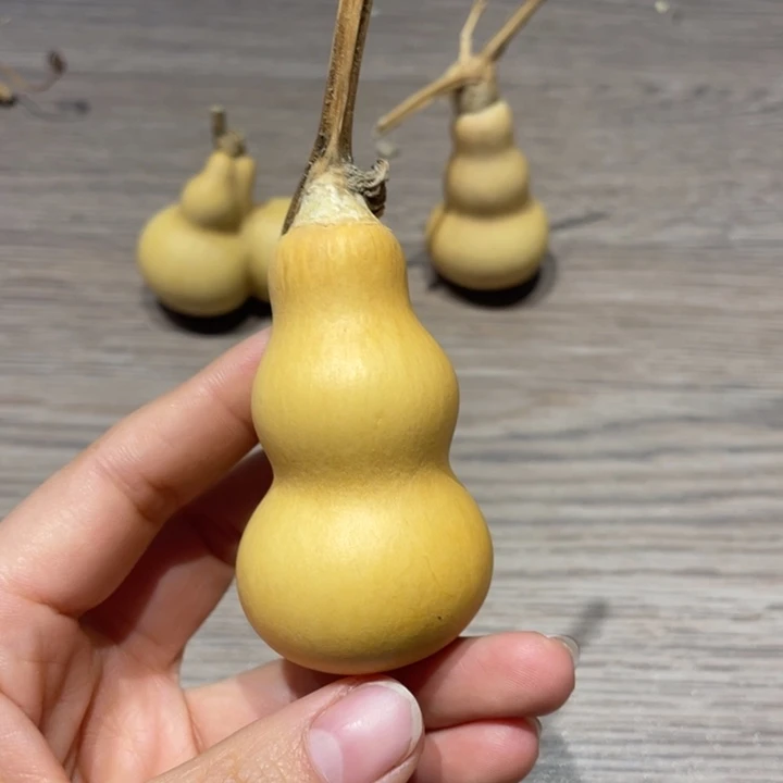 鹰***9葫芦葫芦葫芦葫芦