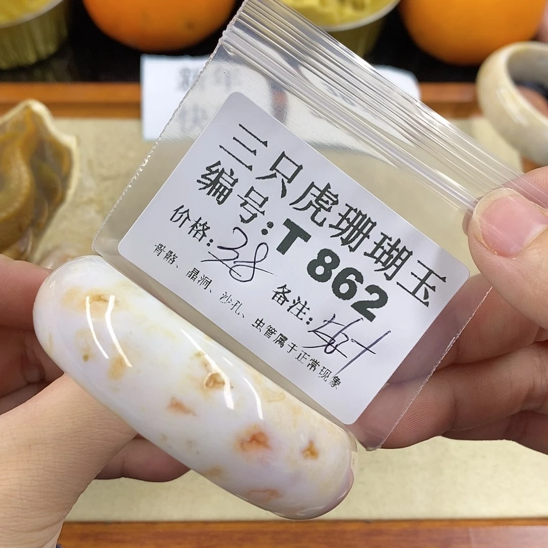 硅化珊瑚（珊瑚玉）1未镶嵌贝***?