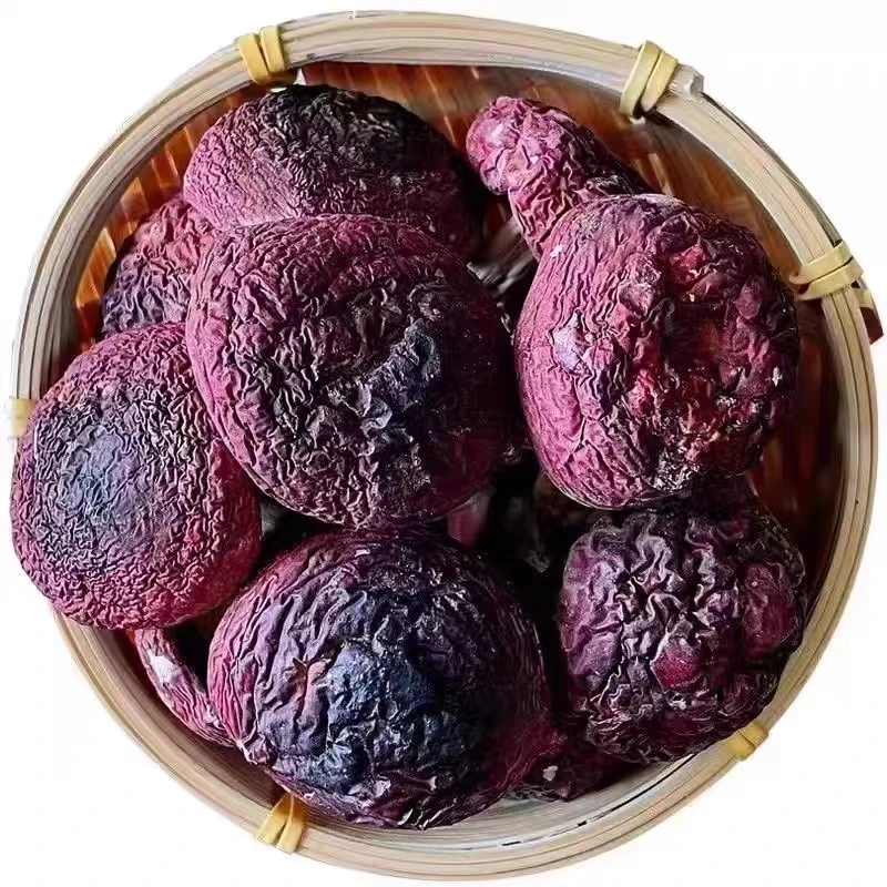 福建正宗蓝底灰肉红菇新货月子菇煲汤美味送礼佳品500g500G特级