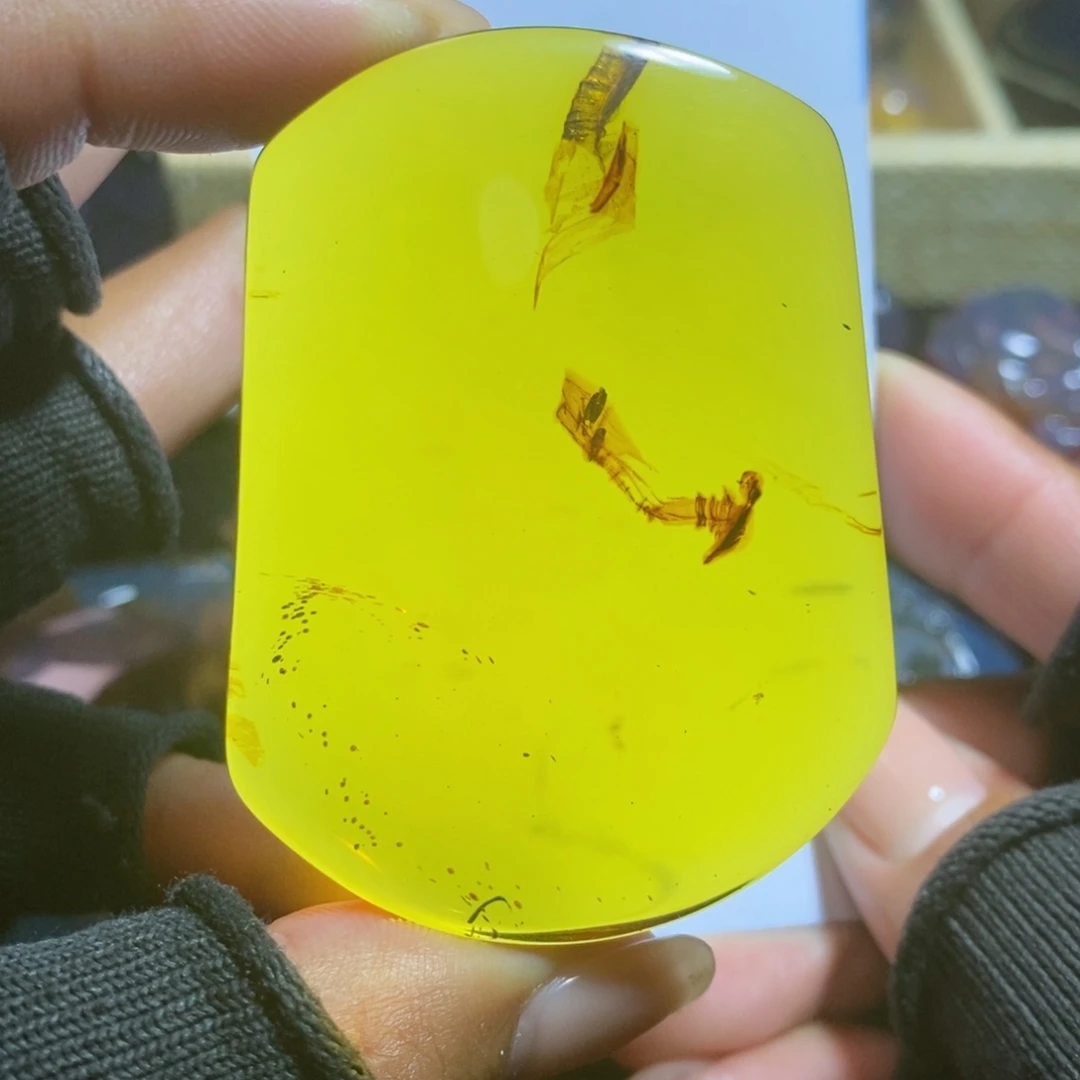 裸石琥珀未镶嵌珀