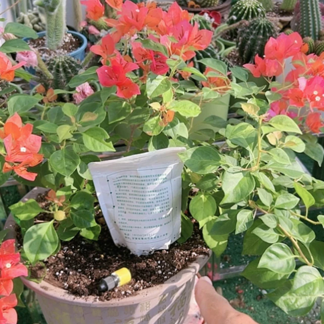 【闪购商品】营养鲜花绿植多肉杀菌