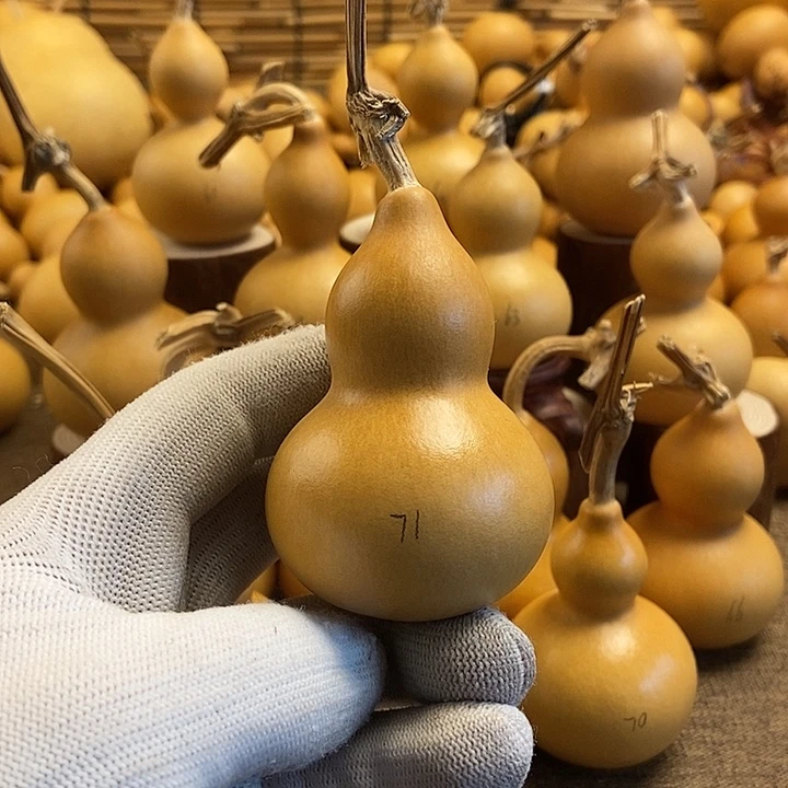 文玩葫芦 完美主义者 慎拍71