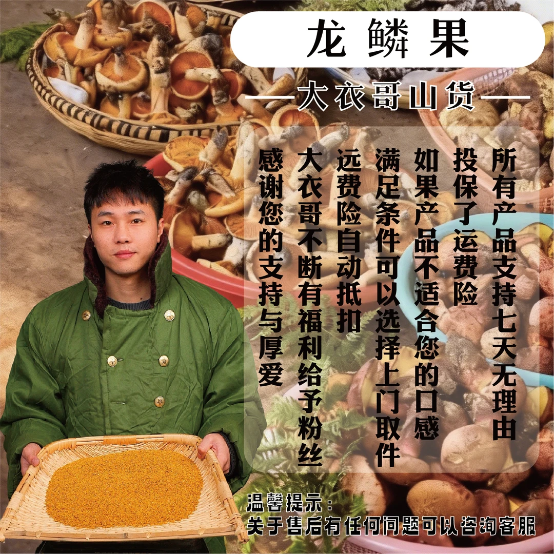 [故里山货]夏至枸杞  龙鳞果