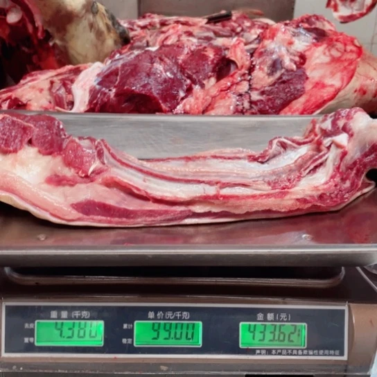 【闪购商品】冷冻保存30天包装河北省