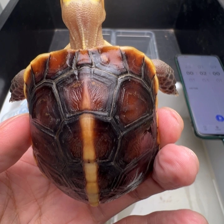 尤***太邮箱号是好多嘛哈