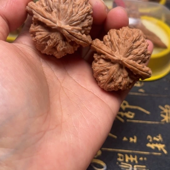 白狮子全品无修40尺