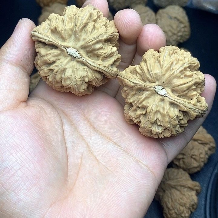 文玩核桃把件有**༒粗筋