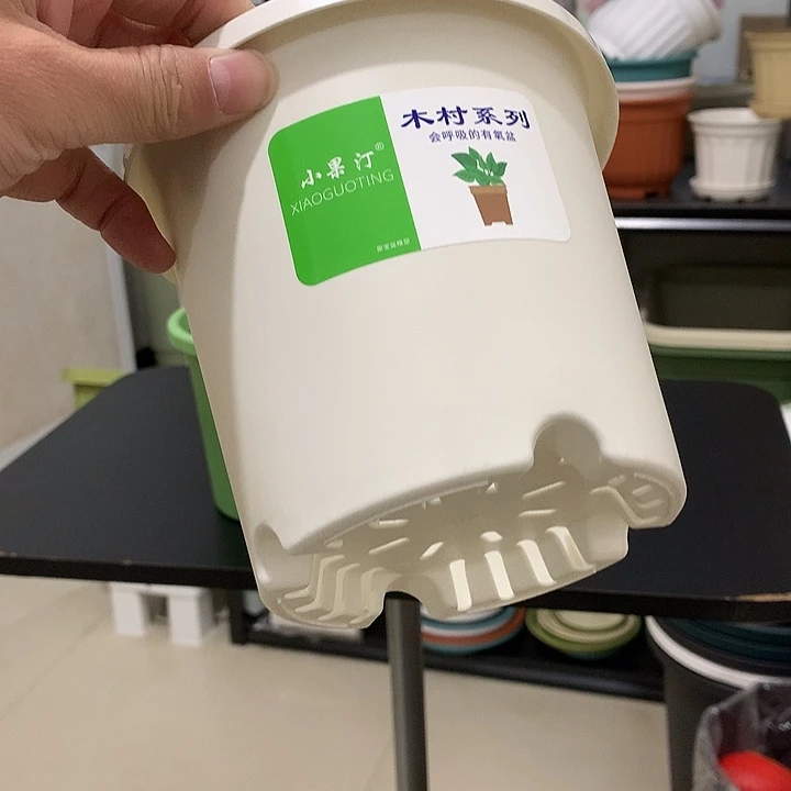 小果汀15口白10个无托
