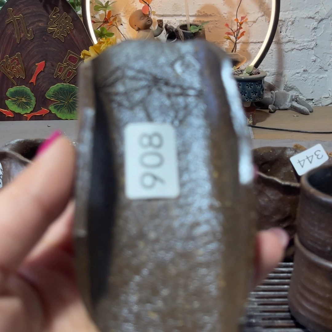 木村信弘柴烧保平