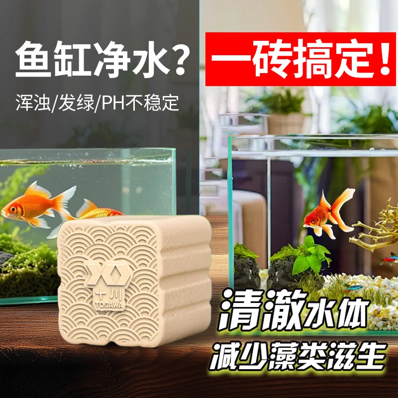 鱼池鱼缸用菌方菌砖消化细菌净化水质分解粪便培菌净水魔方