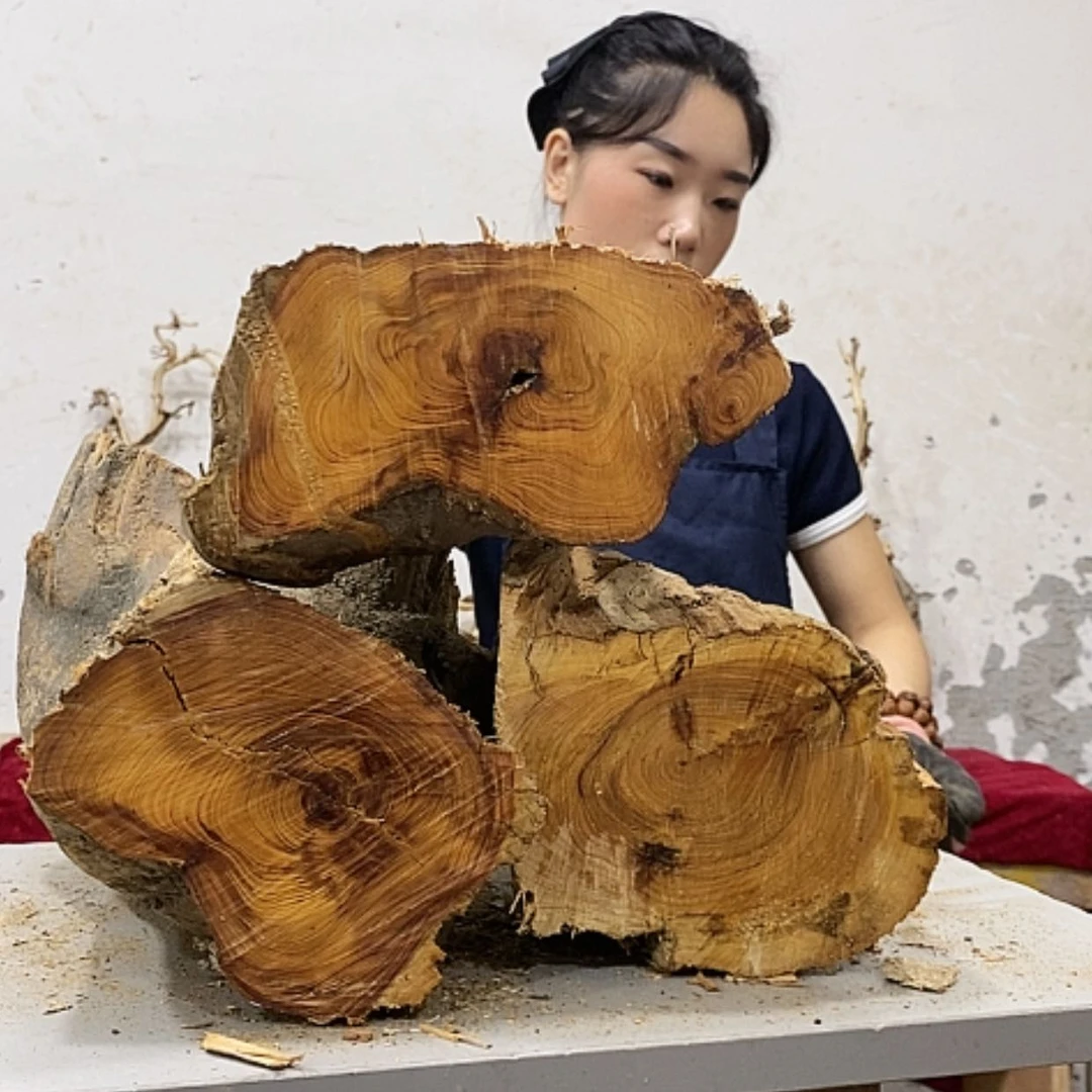 【闪购商品】柏木赤*我们都是好孩子