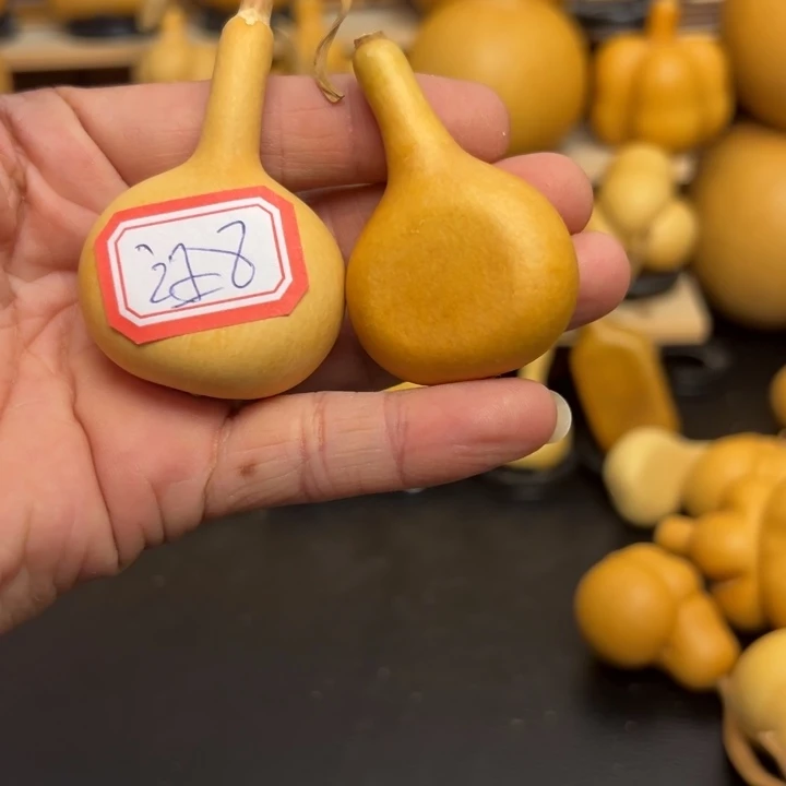 臭*汪1255589955889888558899