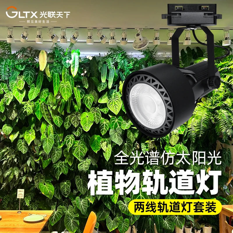 光联天下30W植物生长灯LED轨道射灯全光谱自然光绿植景观墙补光灯