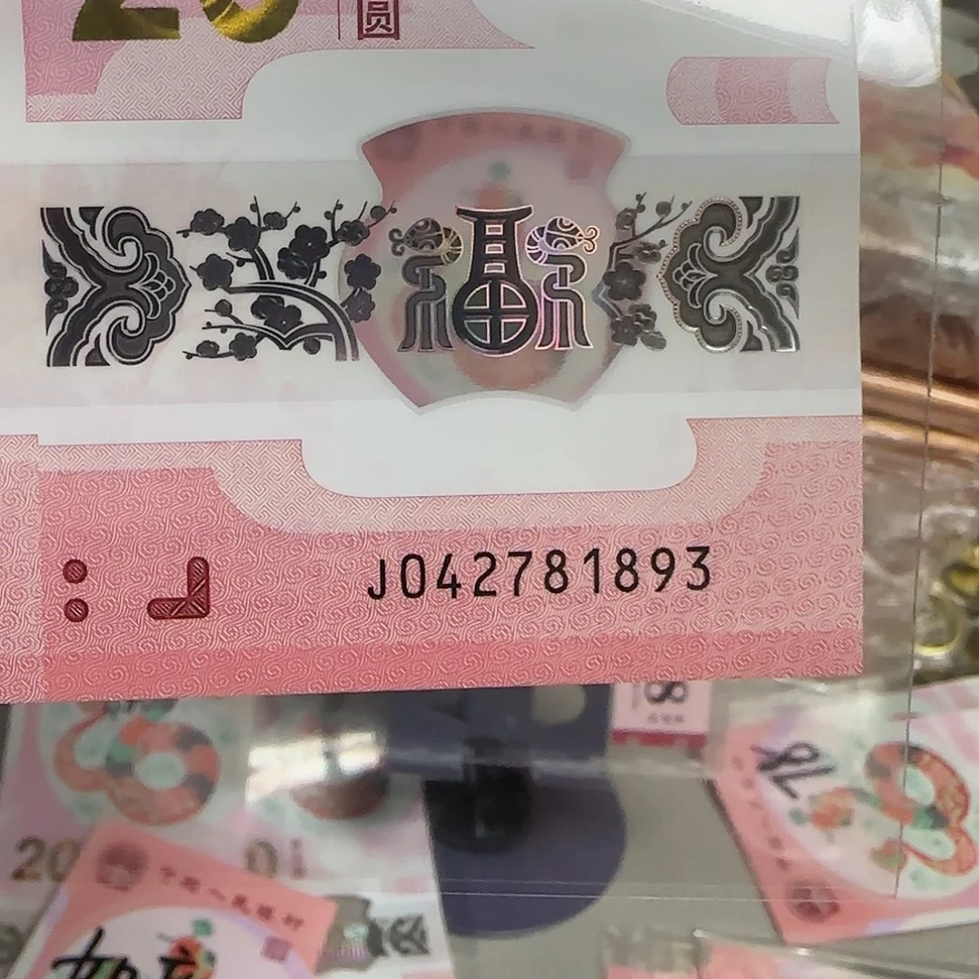 塑料2025年蛇年纪念钞1893