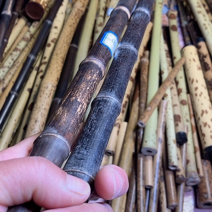 勤**房精美紫竹两个一起拍