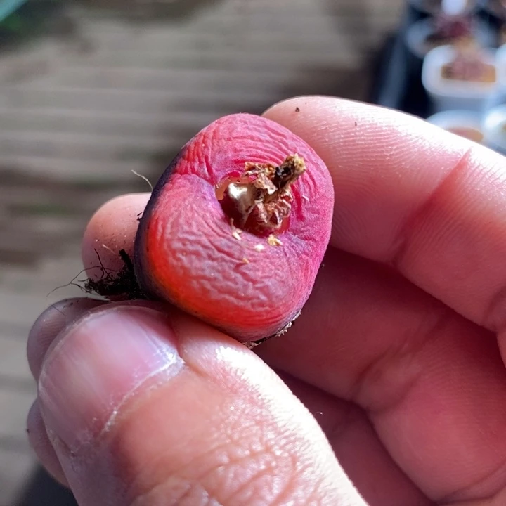 22200一个一个一个