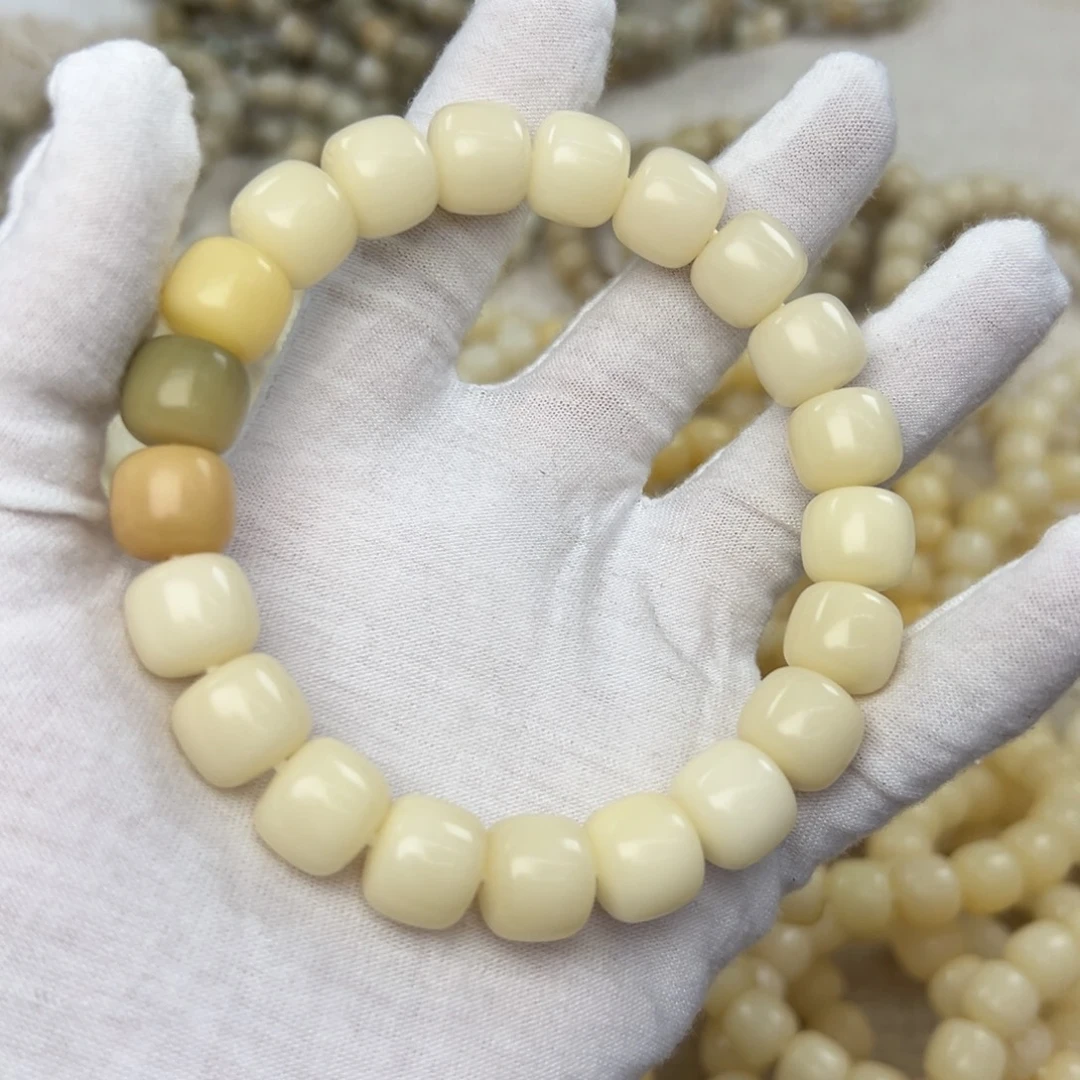 吊坠菩提根/象牙果13干磨862