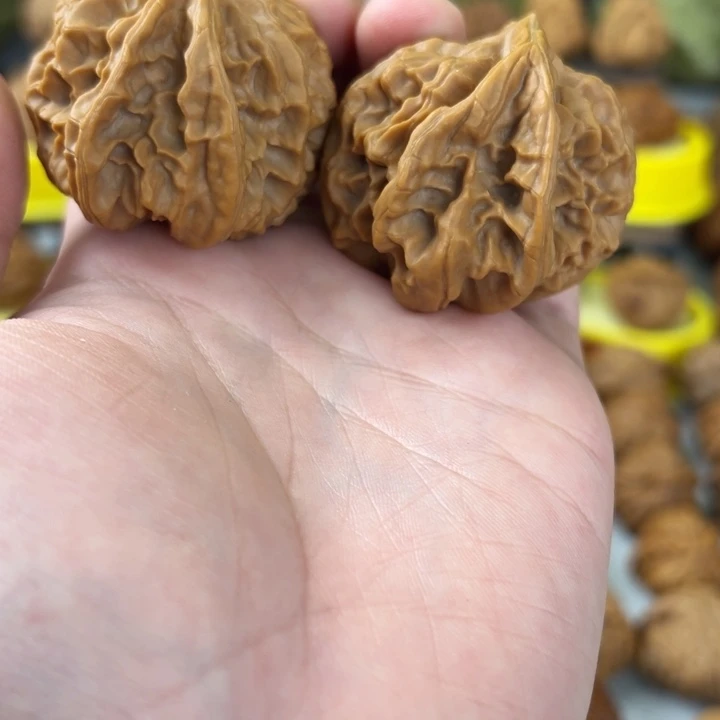 文玩核桃吊坠45尺全品无修帝王小鲍鱼