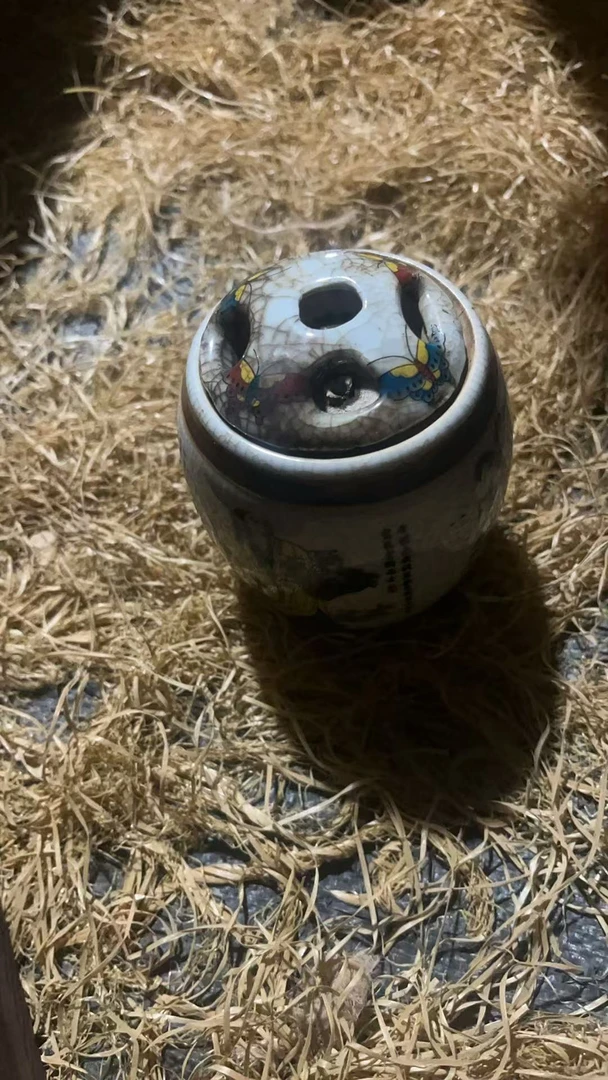 八罐精品摆件链接