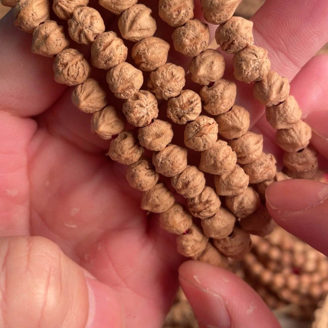 没***哥热振柏香籽吞噬横打