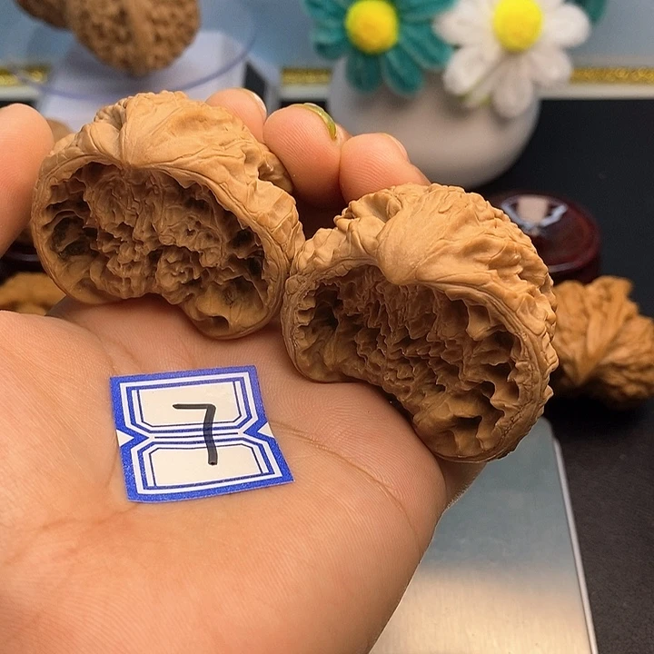随***～把件文玩核桃46聚宝盆