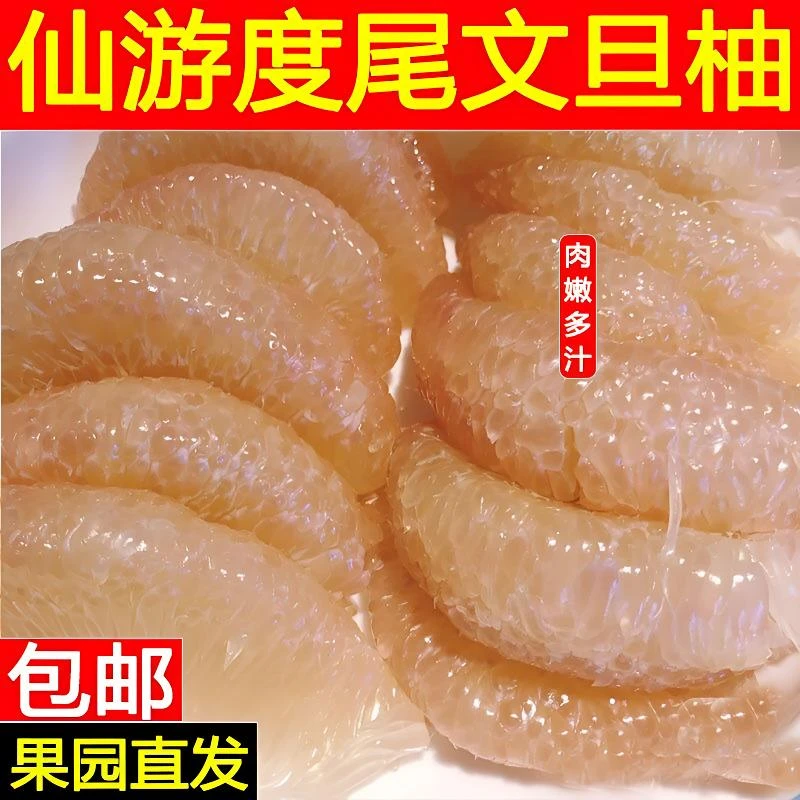 福建仙游度尾老树红心文旦柚新鲜当季多汁肉嫩水果