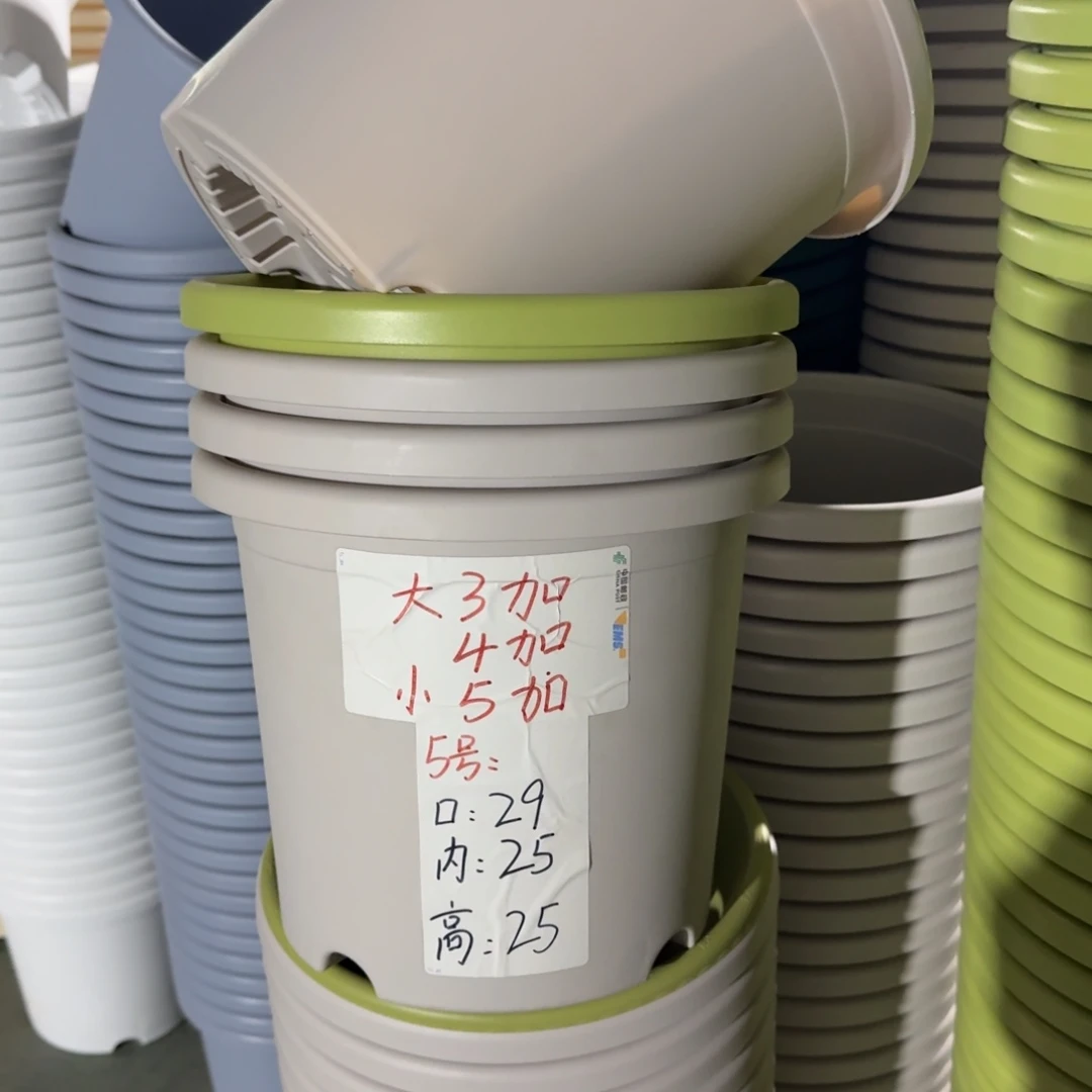 四季5#口径29高25无拖灰白10个