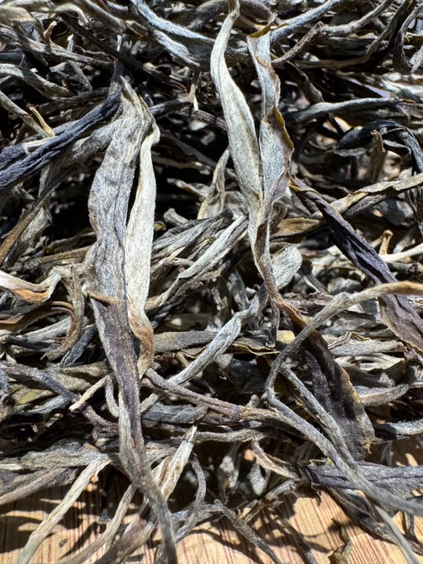 通用链接古树头春普洱茶生茶