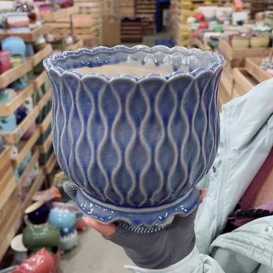 花盆凑单福利满10元发货！