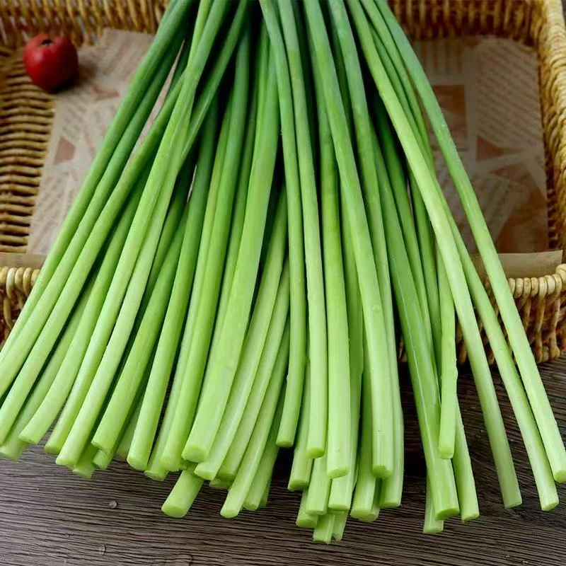 顺丰2025新鲜蒜苔农家露天种植应季蔬菜蒜薹