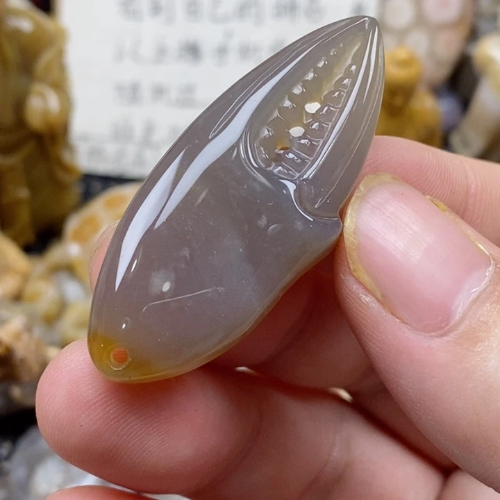 颈饰未镶嵌硅化珊瑚（珊瑚玉）