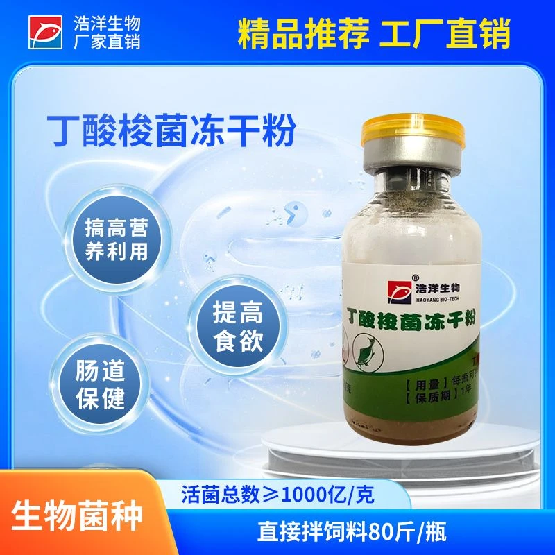水产养殖丁酸梭菌冻干粉肠道添加剂粘膜厂家直销芽孢杆菌