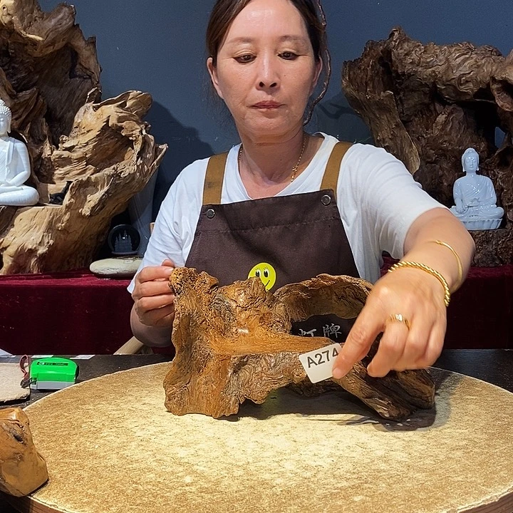 小****学274株木随行的小根艺