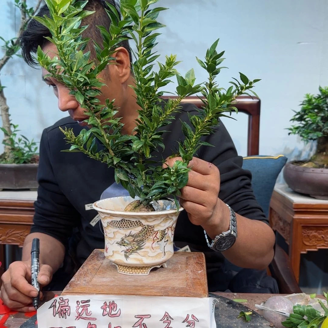 少量花朵（建议范围：2朵-5朵 或40%以下）诚****料