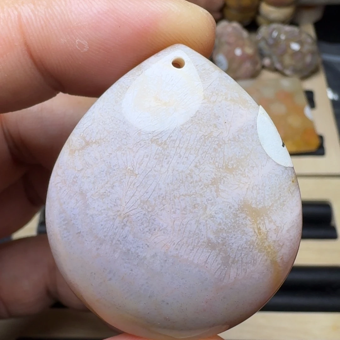 硅化珊瑚（珊瑚玉）未镶嵌纯天然色有机玉石保真色