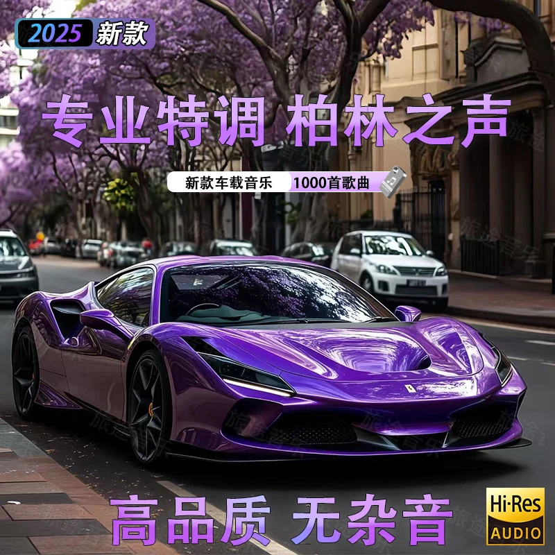 2025dj车载歌曲无损高音质车用2025抖音劲爆DJ音乐高清经典