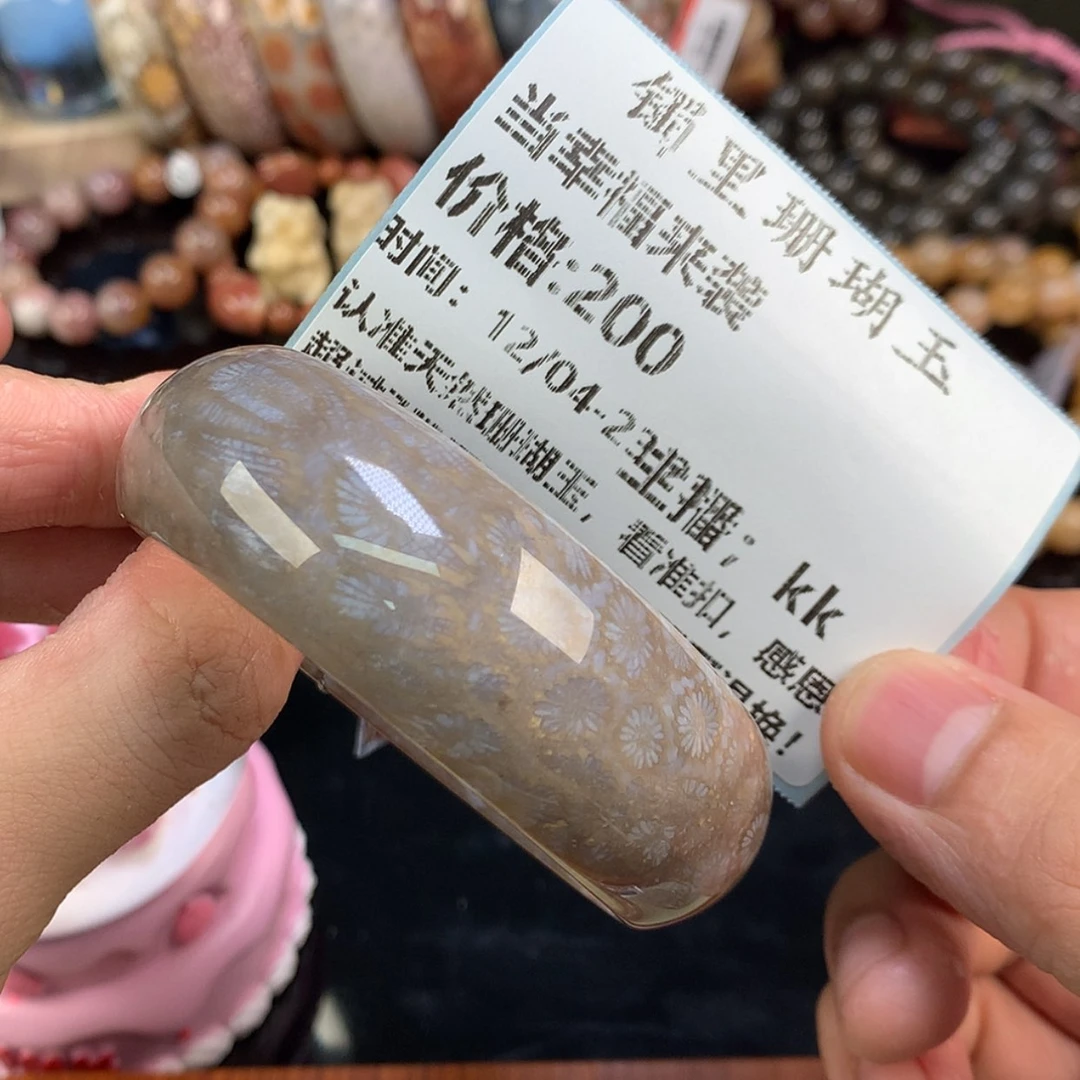 【闪购商品】颈饰未镶嵌硅化珊瑚（珊瑚玉）当***袭